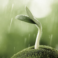 IoT per l'agricoltura